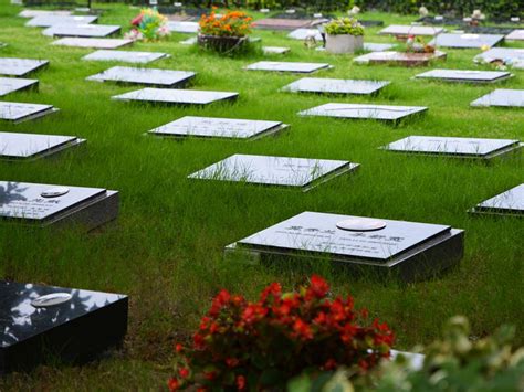 女性健康 草坪葬